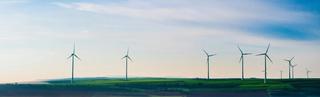Wind turbines in a field