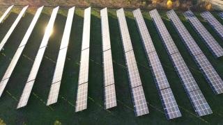 Sunlight gleaming on solar farm