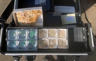 Minerals from the Mineral Mission briefcase